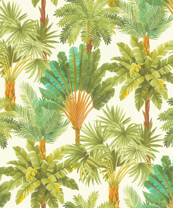 SALSA Wallpaper Pattern No 478235