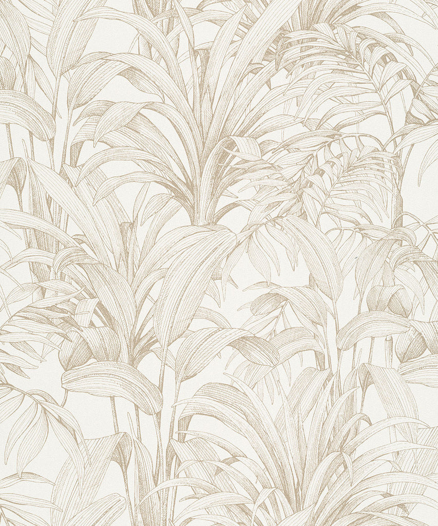 ASPERIA Wallpaper Pattern No A51402